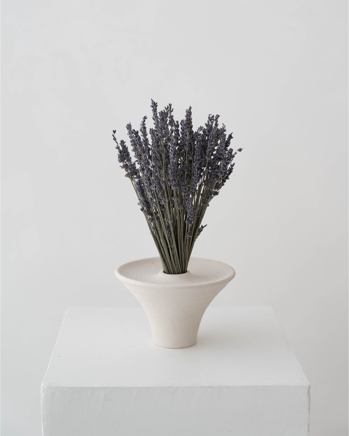 Preserved Lavender Arrangement in Modern Cone Vase