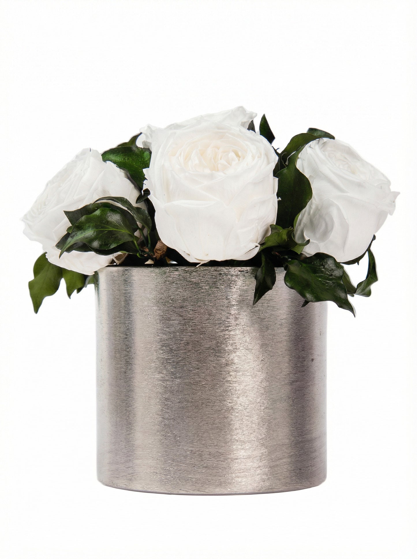 الأناقة الأبدية