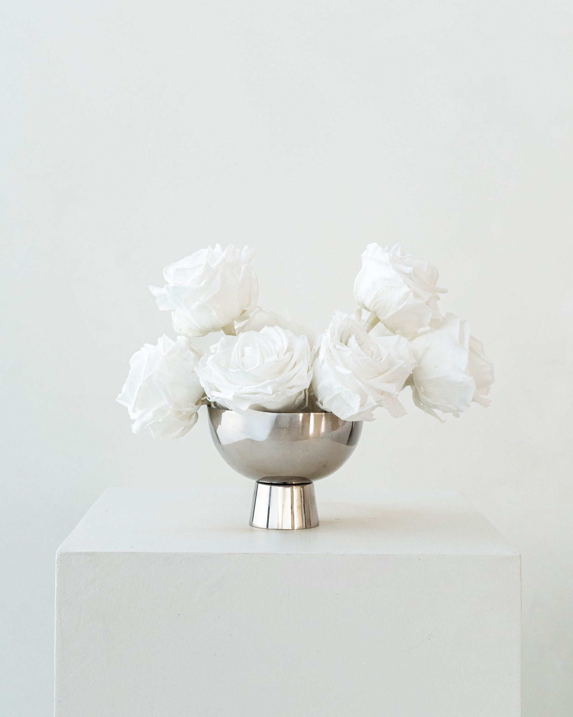 Premium White