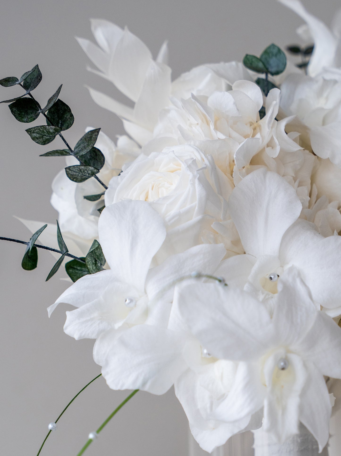 Ivory Orchid