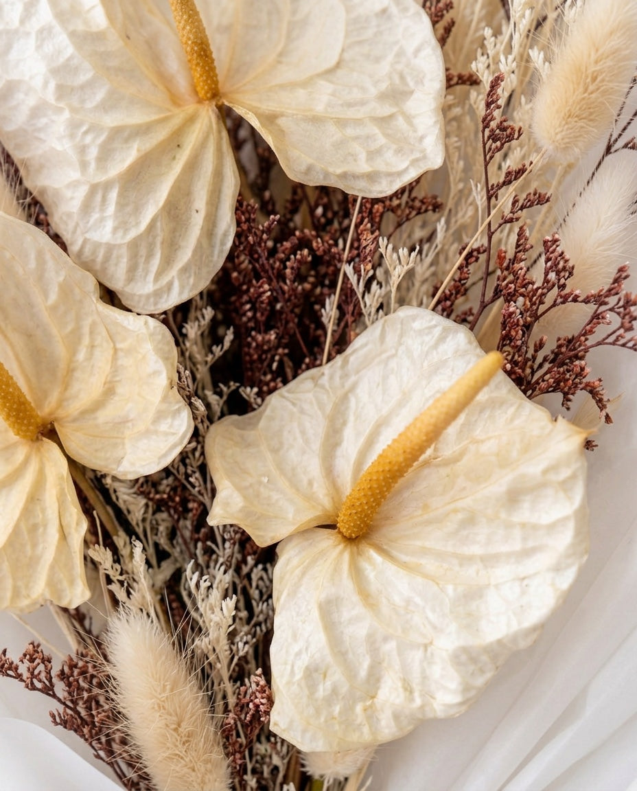 cream anthurium preserved bouquet Ivory Whisper Washi Bloom Riyadh