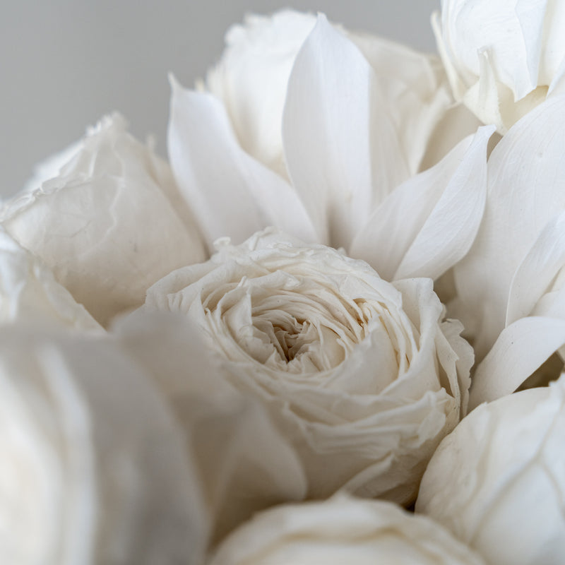 white preserved rose vase Premium White Washi Bloom Riyadh