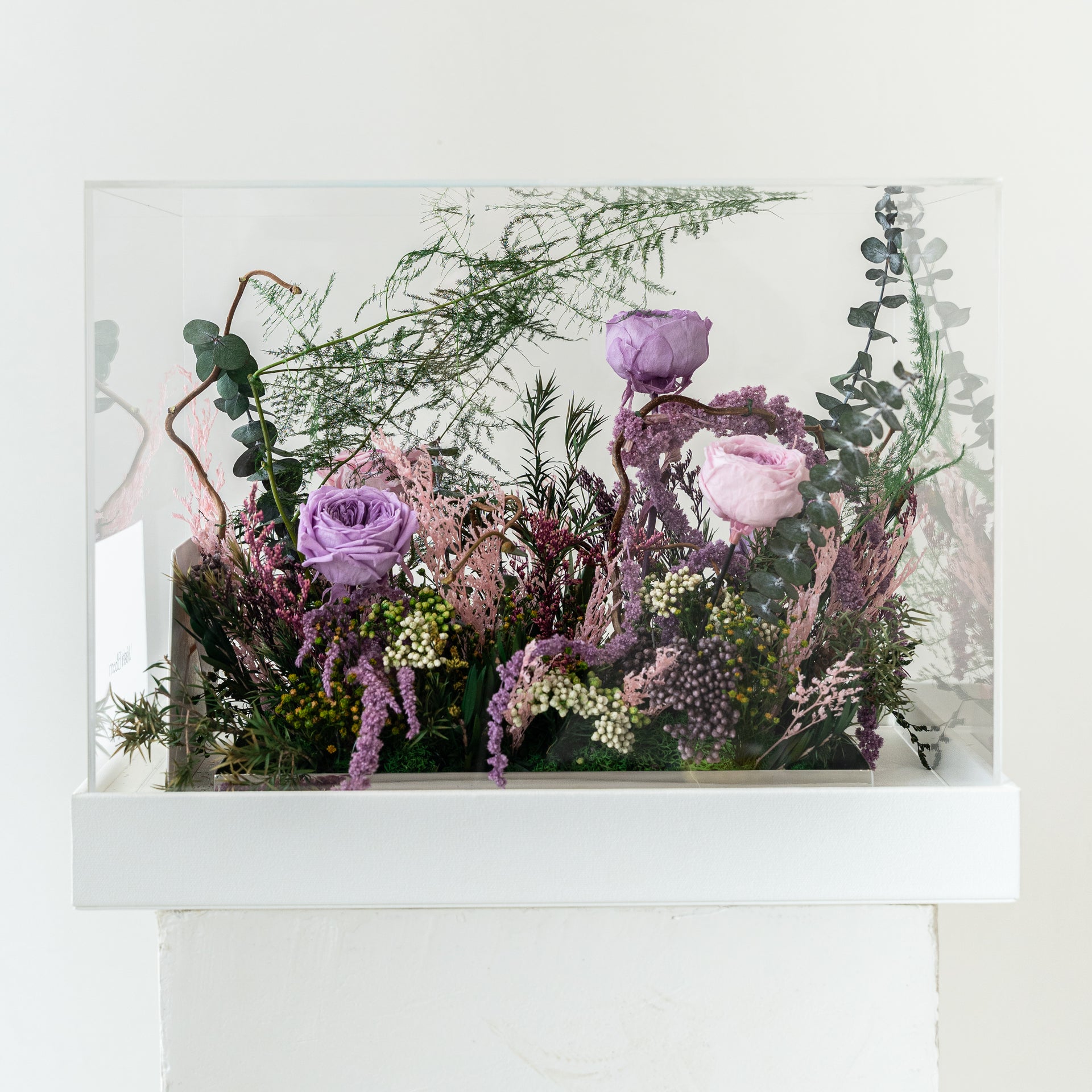 Canvas Bloom