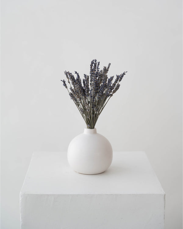 Preserved Lavender Arrangement in Minimal Ceramic Vase