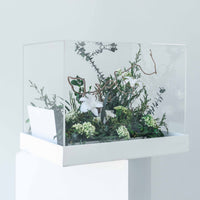 green preserved botanical display Garden Case Washi Bloom Riyadh