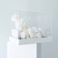 white preserved floral gift box Cloud Dancer Washi Bloom Riyadh