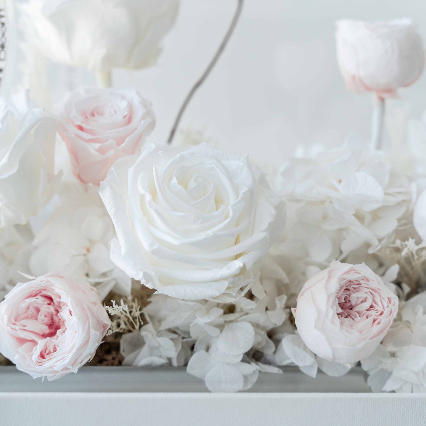 Pure Bloom