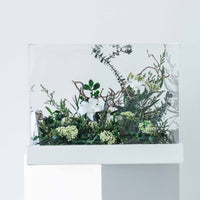green preserved botanical display Garden Case Washi Bloom Riyadh