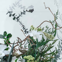 green preserved botanical display Garden Case Washi Bloom Riyadh