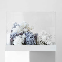 white preserved floral display White Veil Washi Bloom Riyadh