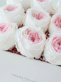 white blush preserved rose box White Love Captured Washi Bloom Riyadh