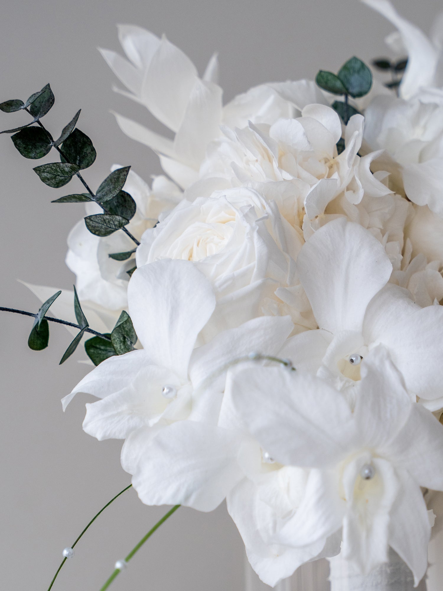 Ivory Orchid