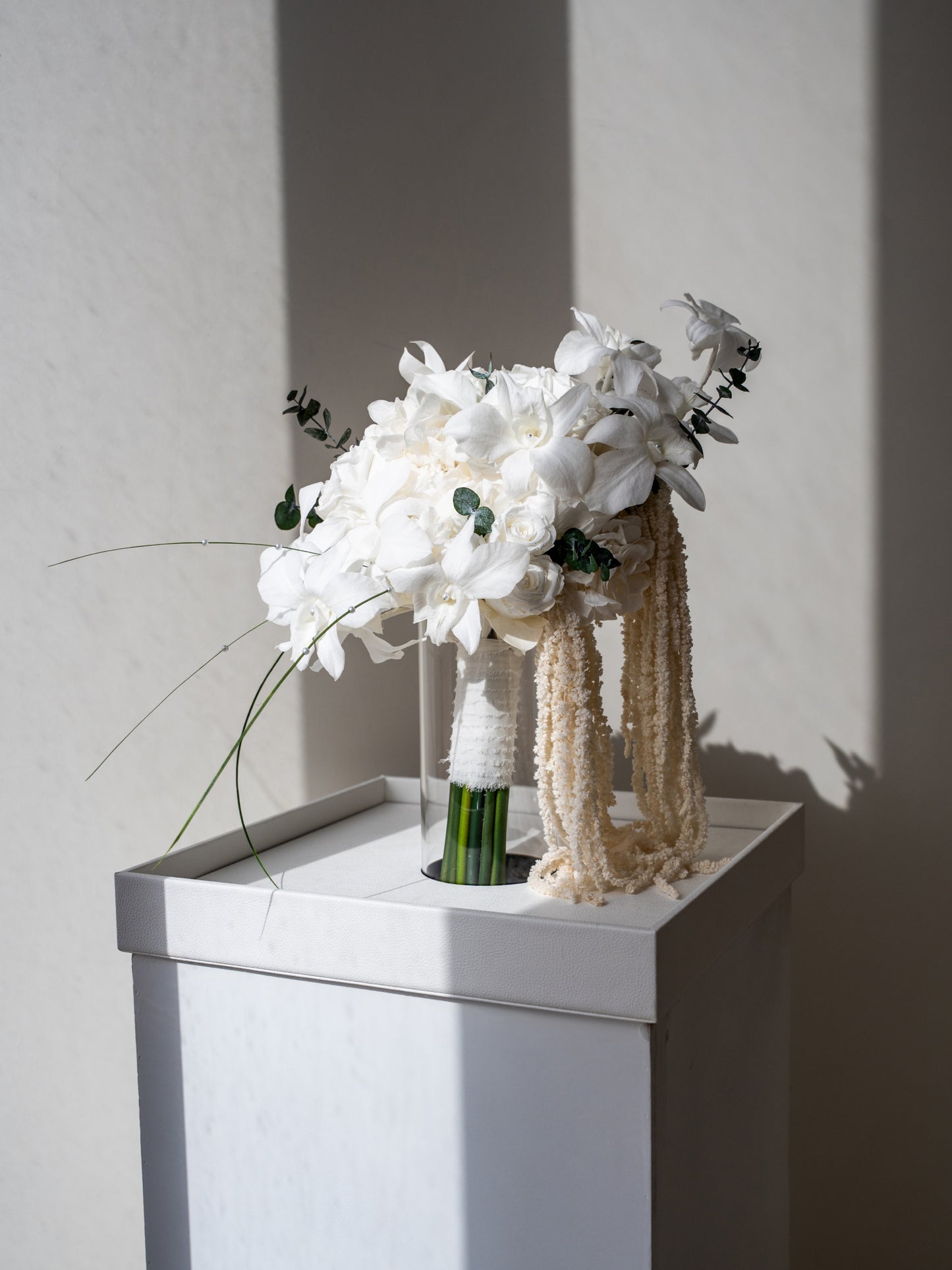 Ivory Orchid
