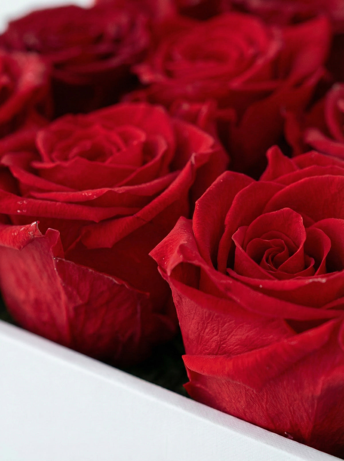 red preserved rose gift box Say It in Red Washi Bloom Riyadh