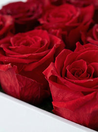red preserved rose gift box Say It in Red Washi Bloom Riyadh