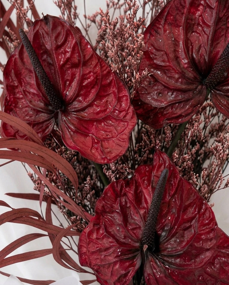 burgundy anthurium preserved bouquet Velvet Ember Washi Bloom Riyadh